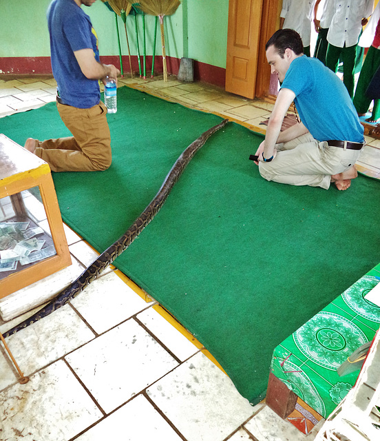 snake temple