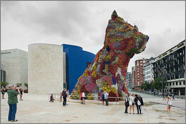 The Guggenheim Puppy