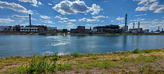 Confluence of the Rhine and Neckar