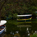 North Macedonia, Boats Reflection in the Park of Black Drin
