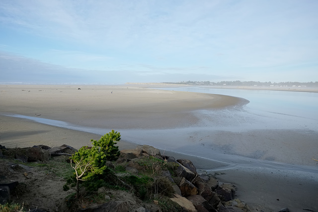 Shifting Sands in Necanicum Bay