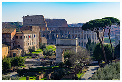 Arco di Tito e Colosseo dal belvedere del Palatino