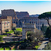 Arco di Tito e Colosseo dal belvedere del Palatino