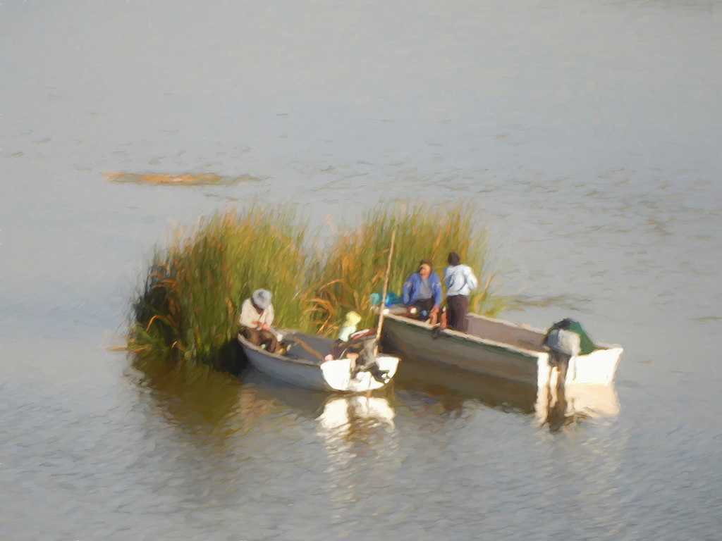 gathering reeds
