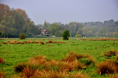 Lock keeper's cottage