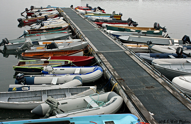 Dinghies and Dories and Zodiacs, Oh My ...