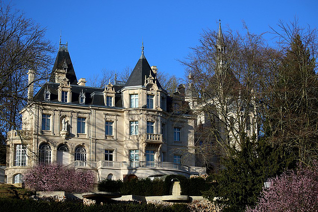 trois beautés de pierrefonds ( oise ) juste avant le confinement et la fermeture de la forêt de compiegne ......