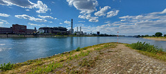 Confluence of the Rhine and Neckar