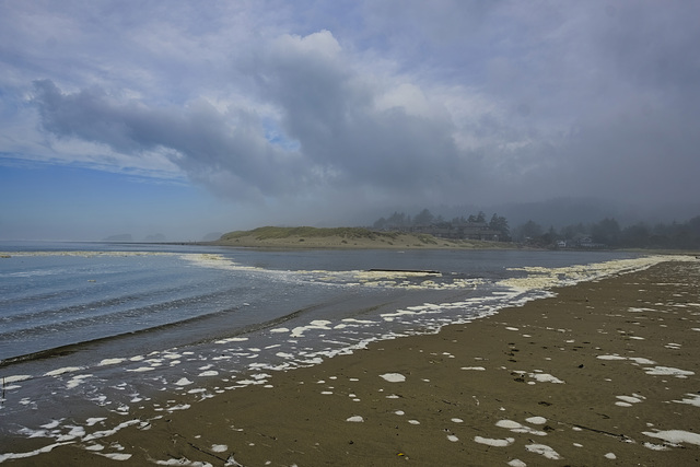 Ocean Meets River