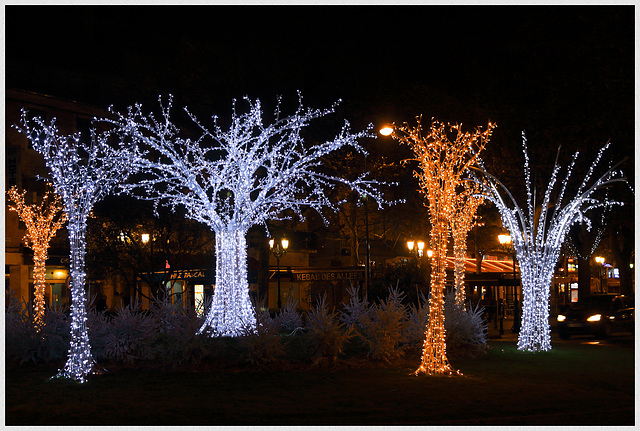 arbres1