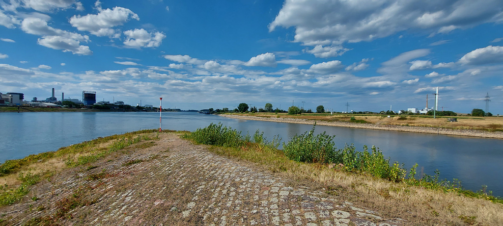 Confluence of the Rhine and Neckar