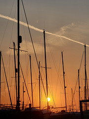 Masts at sunset