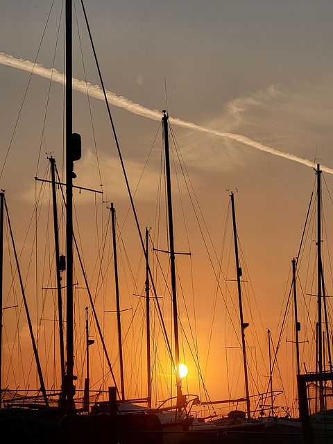 Masts at sunset