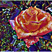 Rose avec Picsart