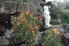 Blumen mit Statue