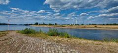 Confluence of the Rhine and Neckar