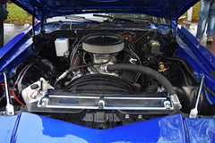 phmrnov272022 (1013)