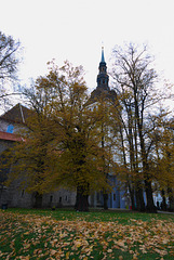 Nikolaikirche (Niguliste kirik)