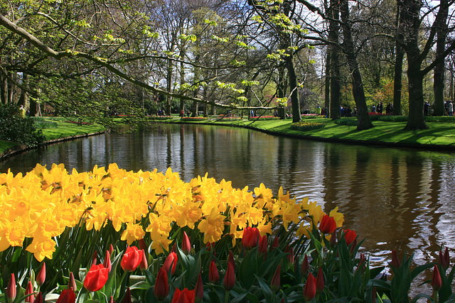 Parco di Keukenhof