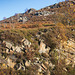 Wildboar Clough and the Rollick Stones a Portrait