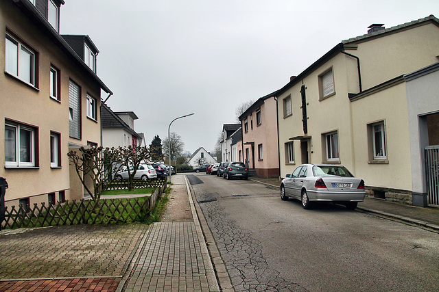 Krengelstraße (Wattenscheid-Höntrop) / 17.02.2024