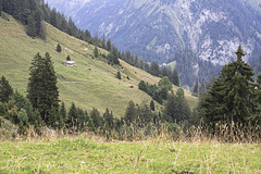 Gemschpfad 2025