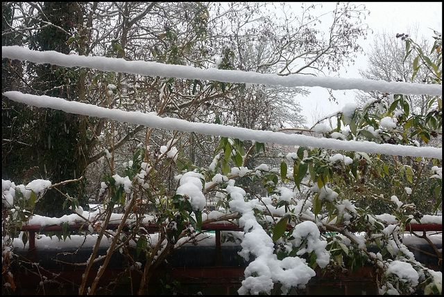 winter washing line