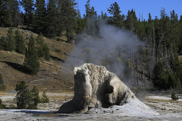 Giant Geyser