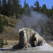 Giant Geyser