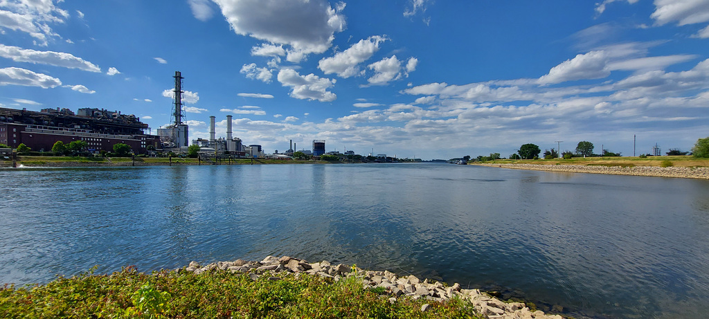 Confluence of the Rhine and Neckar