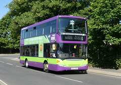 Ipswich Buses 51 (SGZ 3351) - 8 Jul 2022 (P1120189)