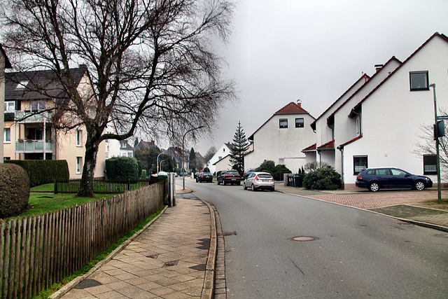 Harenburg (Wattenscheid-Höntrop) / 17.02.2024