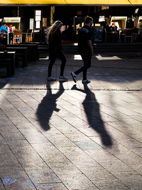 Evening sun