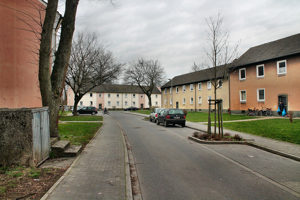 Im Busch (Voerde-Möllen) / 4.03.2017