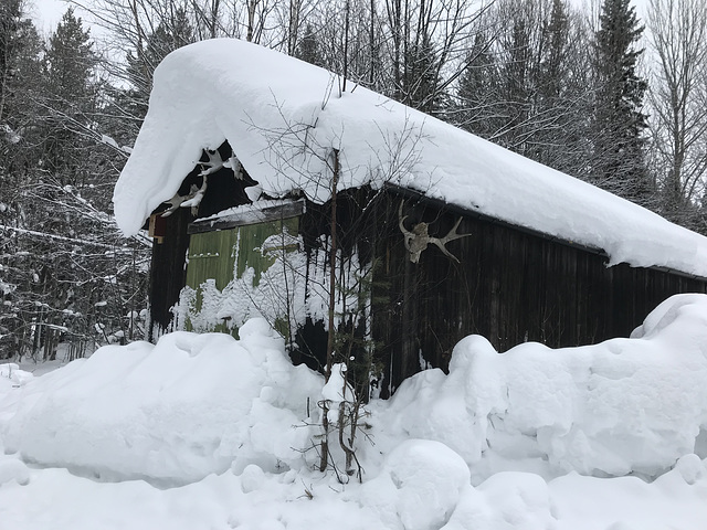 pretty houses and sheds