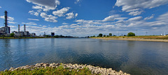 Confluence of the Rhine and Neckar