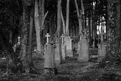 Waldfriedhof