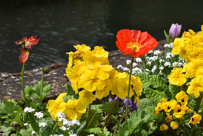 rouge et jaune