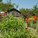 Bauerngarten