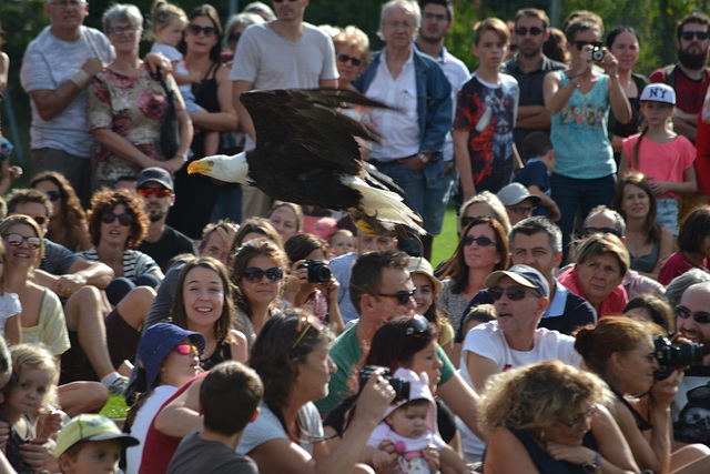 1ére Fête du Paréage