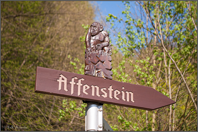 Wegweiser zum Affenstein