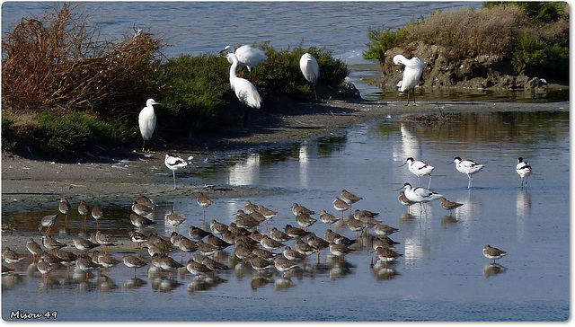 NOIRMOUTIER