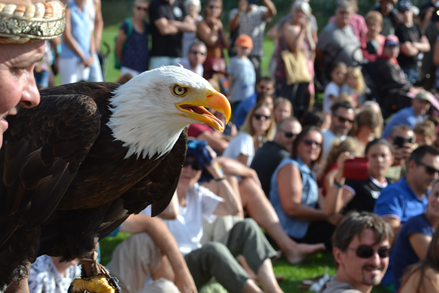 1ére Fête du Paréage