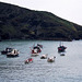 Port Isaac (Scan from August 1992)