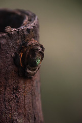 When human build objects turn to art.