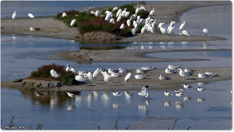 NOIRMOUTIER