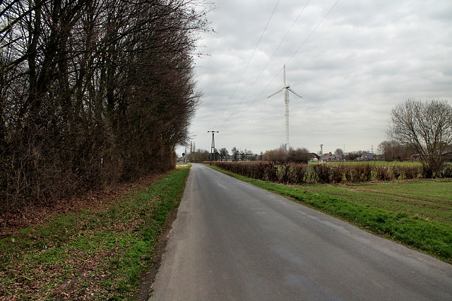 Hohe Straße (Voerde-Löhnen) / 4.03.2017