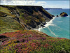 Basset Cove, North Cliffs and Crane Islands. One more for Pam.