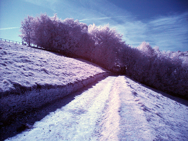 Chalky footpath