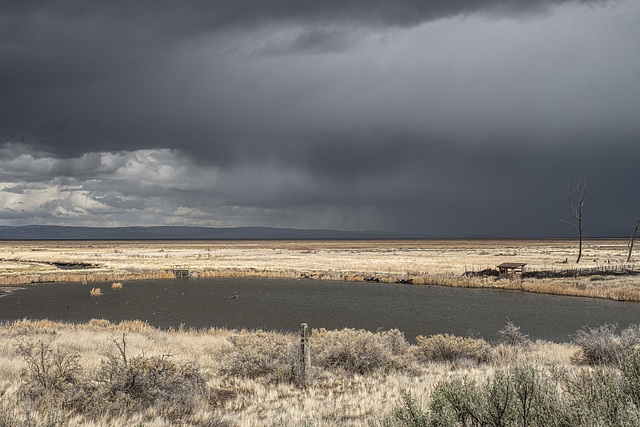 Spring Storm Malheur NWR HQ pond B0005414-2